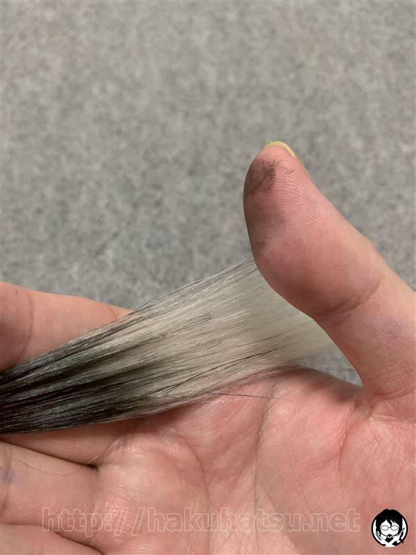 サロンドプロ カラーオンリタッチ 白髪かくしEX白髪かくし体験レビュー