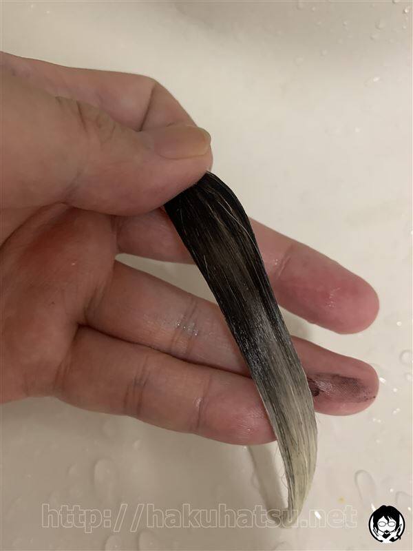 サロンドプロ カラーオンリタッチ 白髪かくしEX白髪かくし体験レビュー
