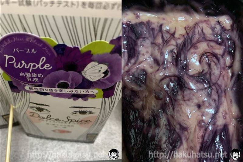 ドルチェスパイス体験レビュー