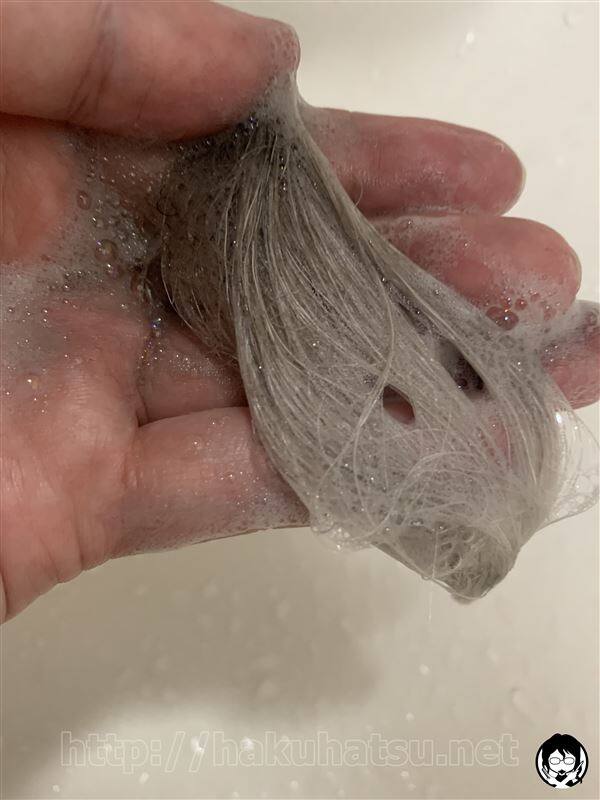 サロンドプロ カラーオンリタッチ 白髪かくしEX白髪かくし体験レビュー