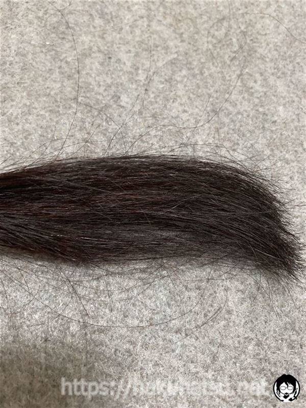 アンナドンナ ドルチェスパイス ヘアカラー(白髪用)レッドを黒髪+白髪10％に染めた髪色