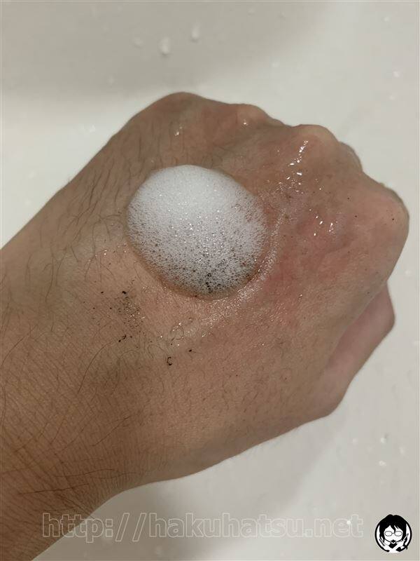 資生堂ブラッシングヘアカラー 白髪かくし体験レビュー