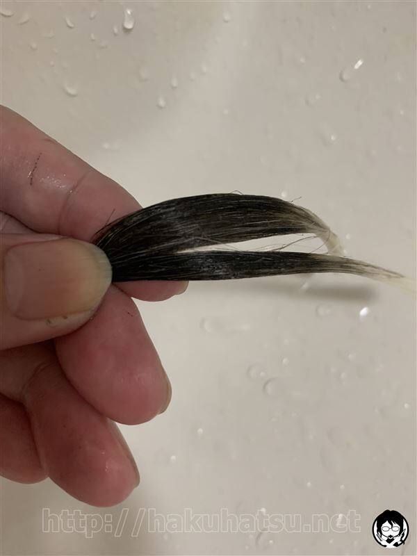 資生堂ブラッシングヘアカラー 白髪かくし体験レビュー