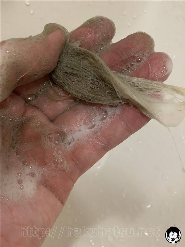 資生堂ブラッシングヘアカラー 白髪かくし体験レビュー
