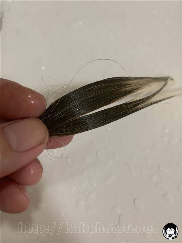 カネボウ リクイール ヘアコンシーラー 白髪かくし体験レビュー
