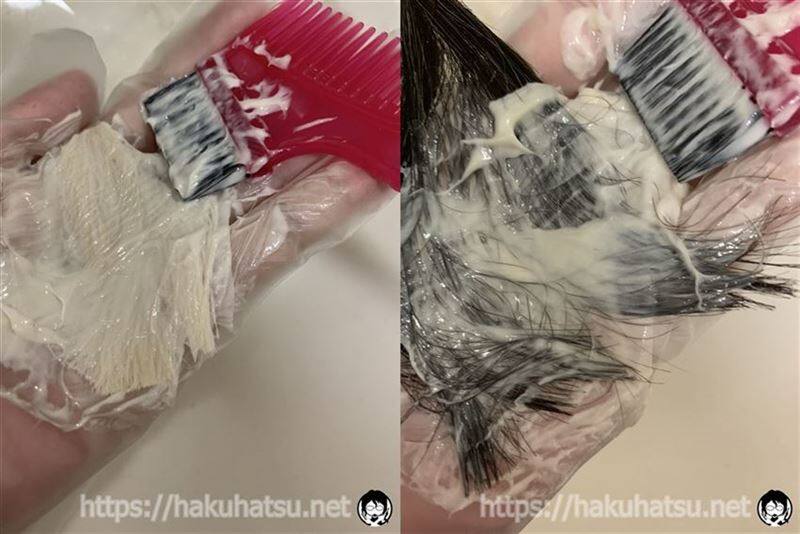 スティーブンノルカラークチュール白髪染め体験黒髪と白髪に染毛