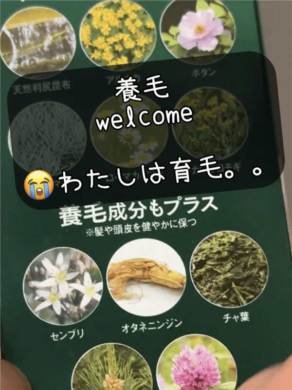 利尻炭酸カラーシャンプー体験レビュー養毛成分