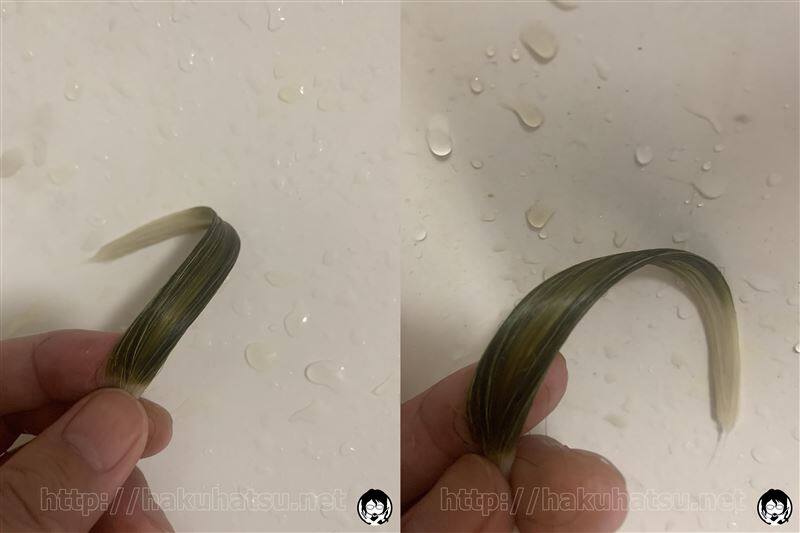 利尻白髪かくし体験レビュー