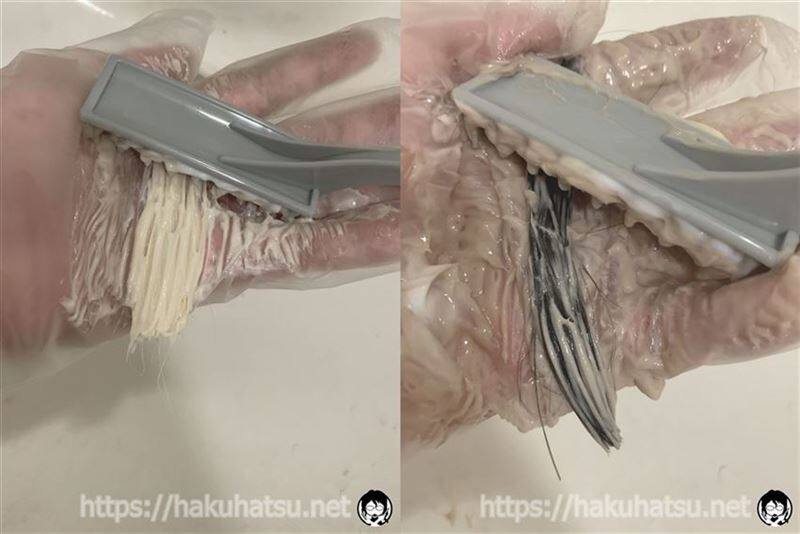 ルシード ワンプッシュケアカラー白髪染め体験