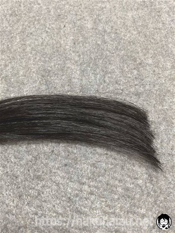 ブローネ ルミエスト ヘアカラー 2A スタイリッシュアッシュを黒髪白髪１０％に染めた色