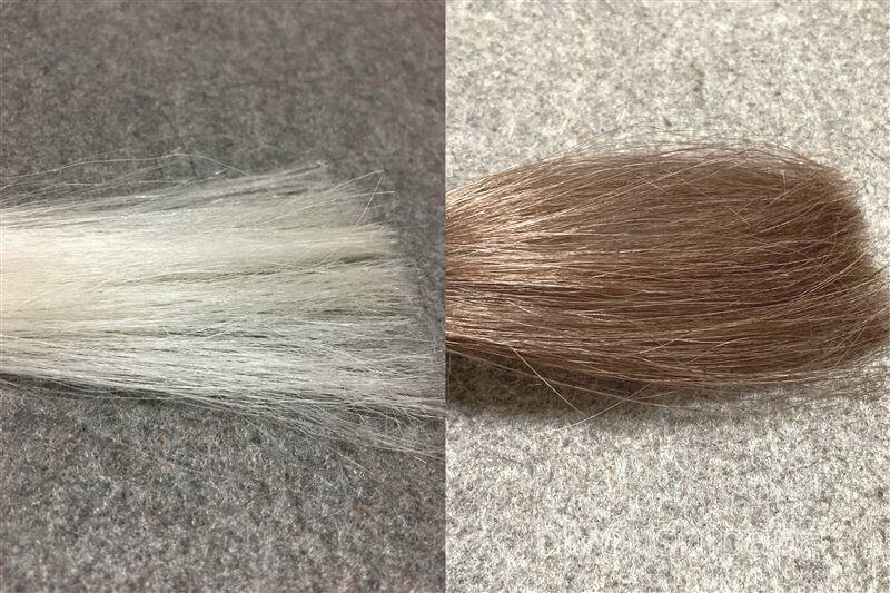 レセヘアカラートリートメントダークブラウンと白髪の比較