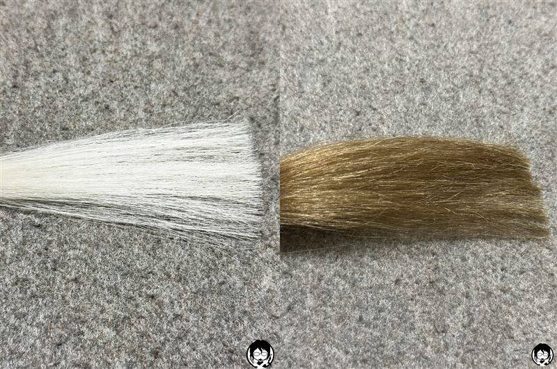 ロレアルパリオレオリュクス10B バターベージュを白髪に染めた色比較