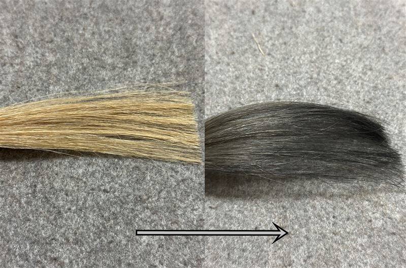 サイオスイルーセントヌードグレージュ金髪を染めた色の比較