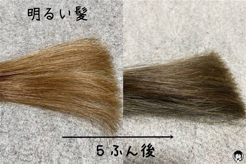 資生堂プリオールグレーを明るい髪に染めた比較