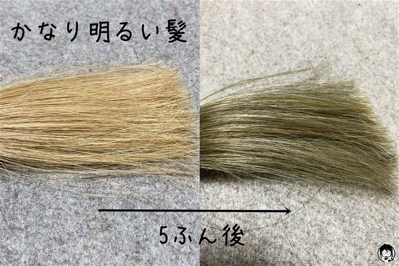 資生堂プリオールグレーをかなり明るい髪に染めた比較