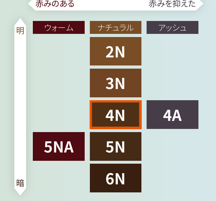 ビゲンリピカラー カラーチャート ナチュラル2N〜6N・アッシュ4A・ウォーム5NA