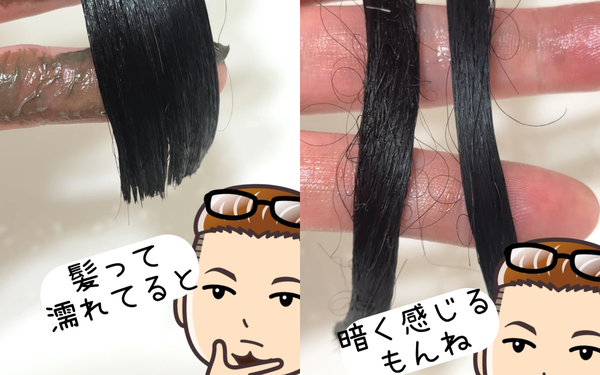 ビゲンリピカラー6N 髪って濡れてると暗く感じるもんね