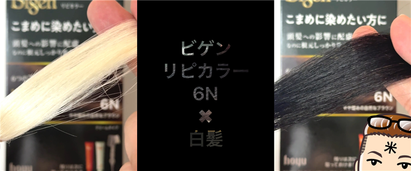 ビゲンリピカラー6N×白髪 染める前の白髪100%テスト毛と染め上がり