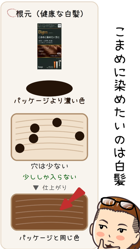 図解 根元の健康な白髪は穴が少ない 少ししか入らないのでパッケージと同じ色