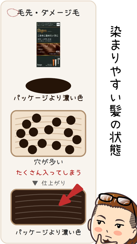 図解 毛先・ダメージ毛は穴が多い 濃い染料がたくさん入ってパッケージより濃い色