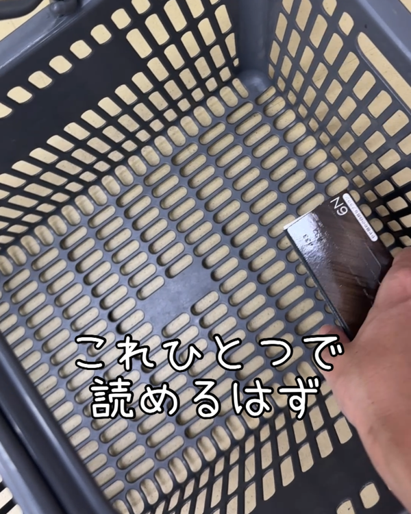 ビゲンリピカラー 6Nを買い物かごへ