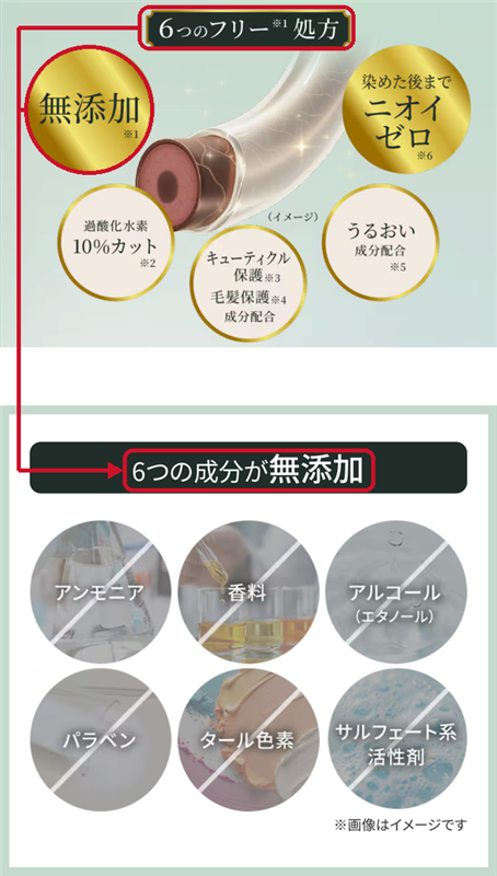 ビゲンリピカラー公式 6つのフリー処方の無添加と6つの成分が無添加のつながり 5つの丸は別