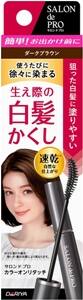 サロンドプロ カラーオンリタッチ 白髪かくしEX　ダークブラウン