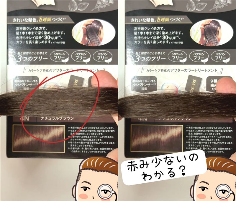 サイオスクレイクリーム体験レビュー 4Nナチュラルブラウン　染めてみた