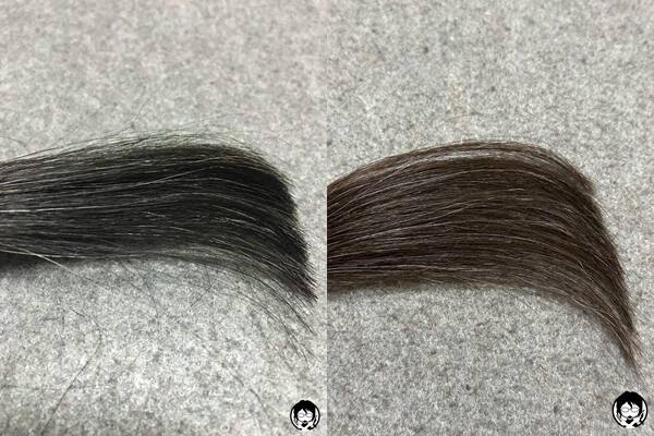 サイオス イルーセントミルキーヘアカラー ヌードグレージュと黒髪+白髪10%の色の比較