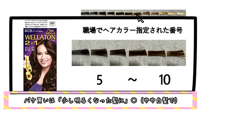 ウエラトーン2＋1定性・定量データ分析と解説職場で明るさ指定された番号