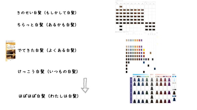 シエロデザイニングカラー定性・定量データ分析と解説