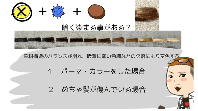 レセカラートリートメント定性・定量データ分析と解説