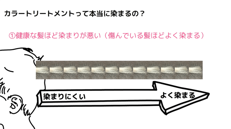 利尻カラートリートメント定性・定量データ分析と解説