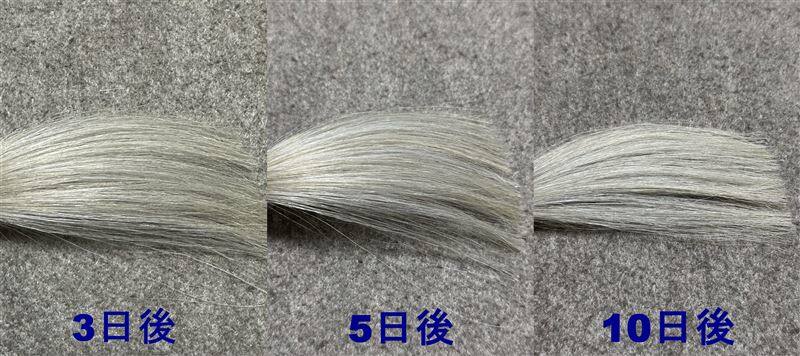 ビゲン グレイスタイル グレイケアトリートメント　つやめきブロンドの色落ち経過