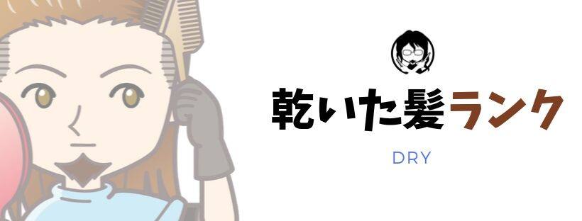 乾いた髪ランキングガイドバナー