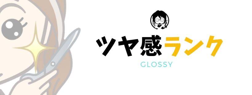 ツヤ感ランキングガイドバナー