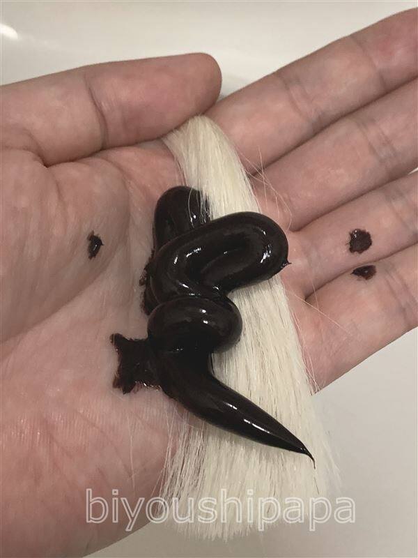 サロンドプロカラートリートメント体験レビュー
