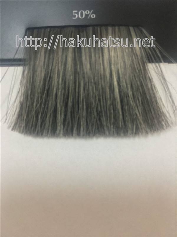 白髪と黒髪50％の毛