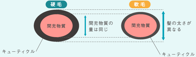 白髪の染まりの感じ方
