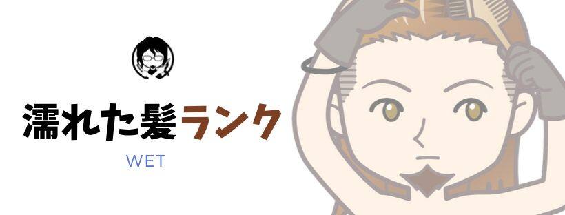濡れた髪ランキングガイドバナー
