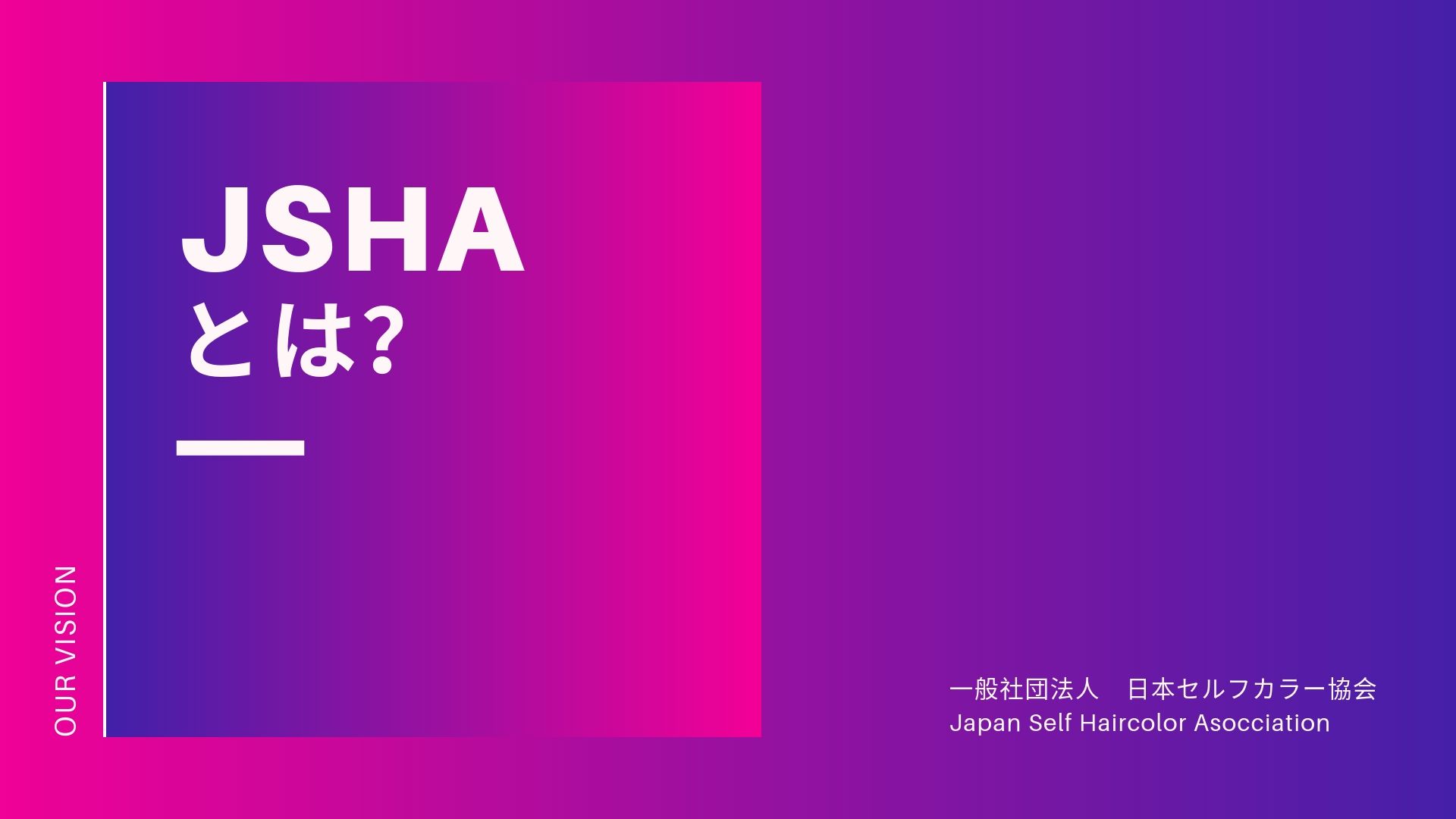 一般社団法人日本セルフカラー協会ビジョンの説明