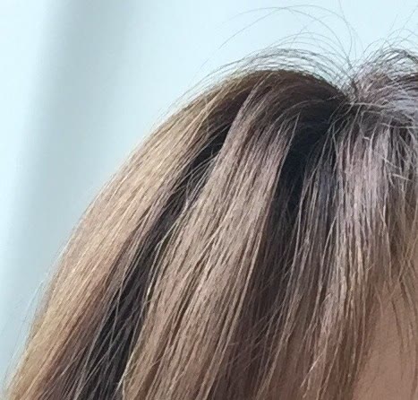 根元は暗く、毛先にかけて明るい——根元と毛先で色味が違う髪の例