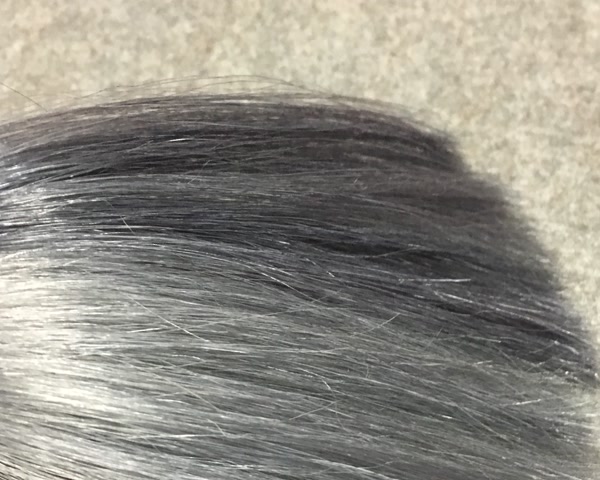 根元は暗く、毛先にかけて明るく見える毛束の例