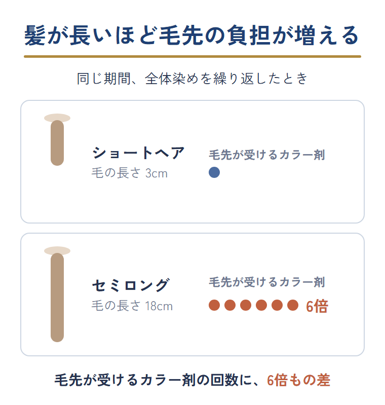 髪が長いほど同じ期間の全体染めで毛先が受けるカラー剤の回数が増えることを示した図