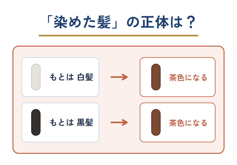 染めた髪には、もとが白髪だった部分ともとが黒髪だった部分があり、どちらも同じ茶色に染まっていることを示した図
