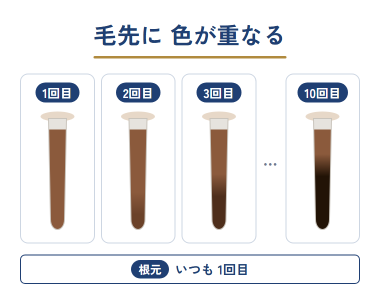 染める回数を重ねるごとに、根元の白髪は同じまま毛先だけが濃く暗くなっていくことを示した図