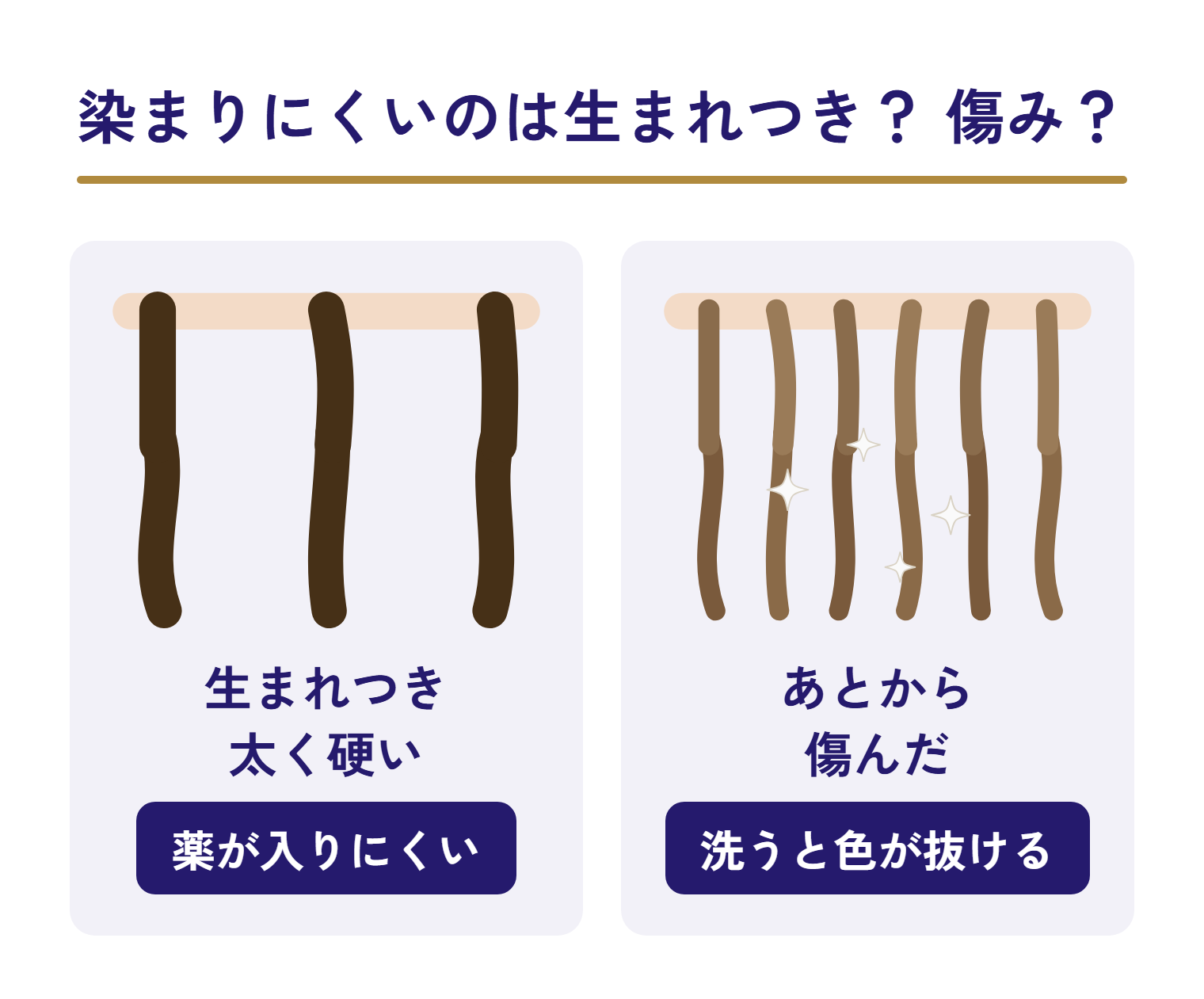生まれつき太く硬い髪は薬が入りにくく、あとから傷んだ髪は洗うと色が抜けることを比べた図