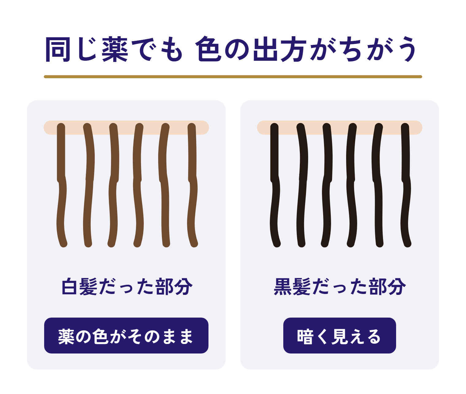 同じ薬でも、白髪だった部分は薬の色がそのまま出て、黒髪だった部分は暗く見えることを比べた図