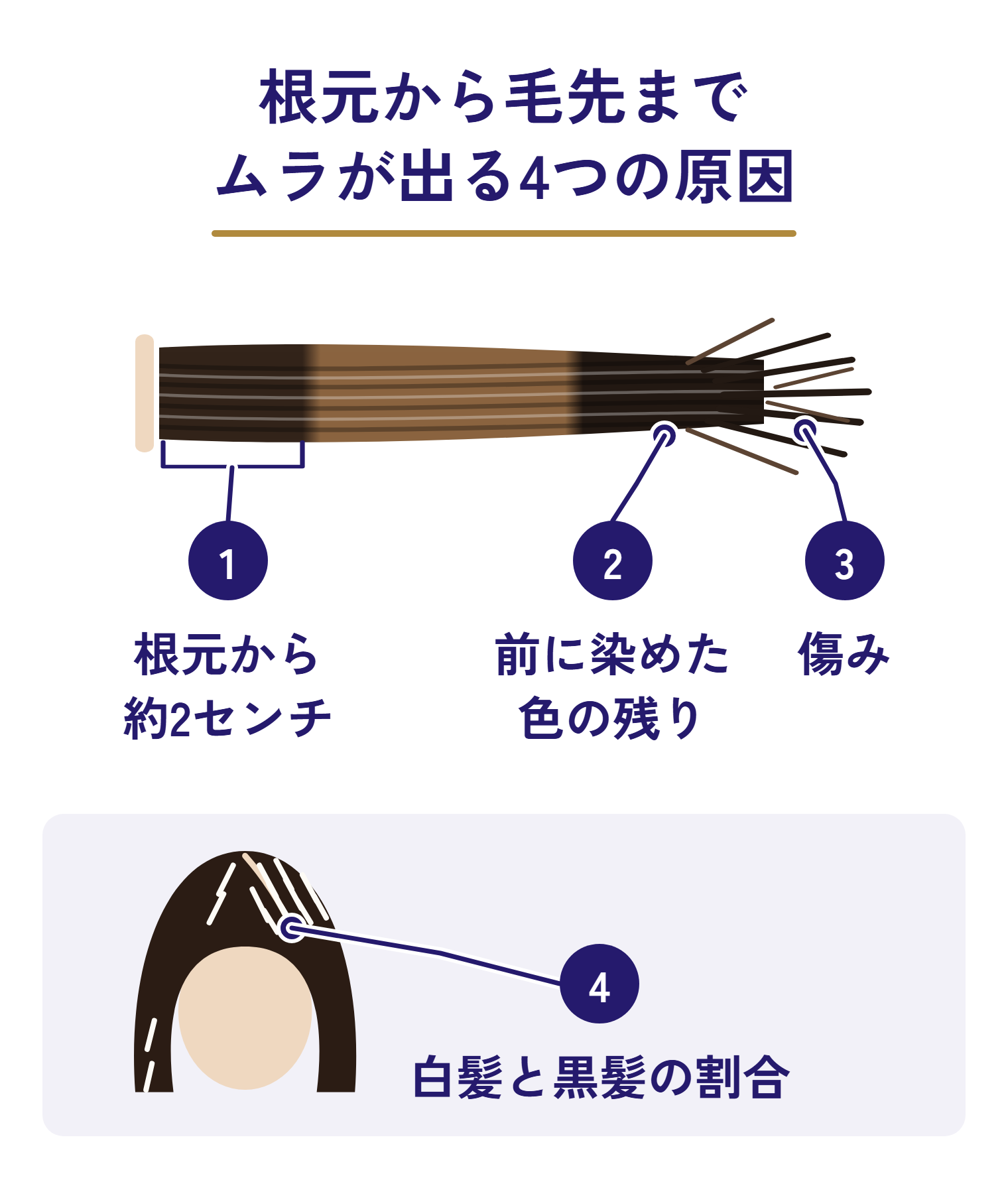 根元から毛先までムラが出る4つの原因を示した図。横に伸ばした毛束の絵に、根元から約2センチ／前に染めた色の残り／傷みを並べ、白髪まじりの頭の絵に白髪と黒髪の割合を添えている