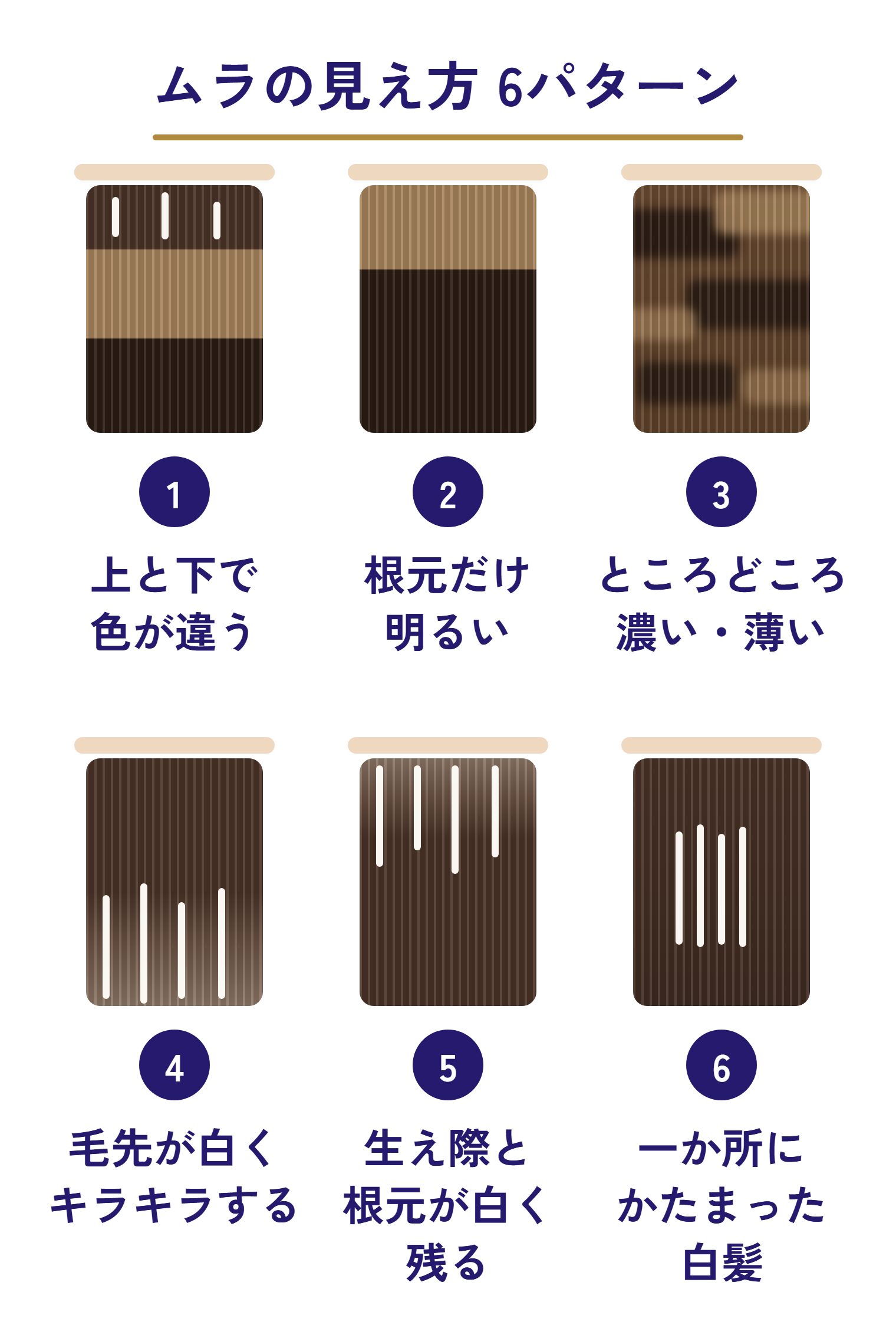 ムラの見え方を毛束の絵で6つ並べた図。上と下で色が違う／根元だけ明るい／ところどころ濃い・薄い／毛先が白くキラキラする／生え際と根元が白く残る／一か所にかたまった白髪